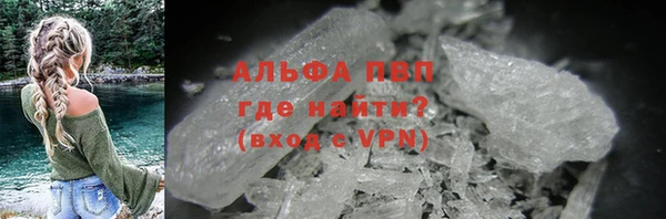 прущие грибы Козельск