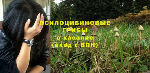 сатива Арсеньев
